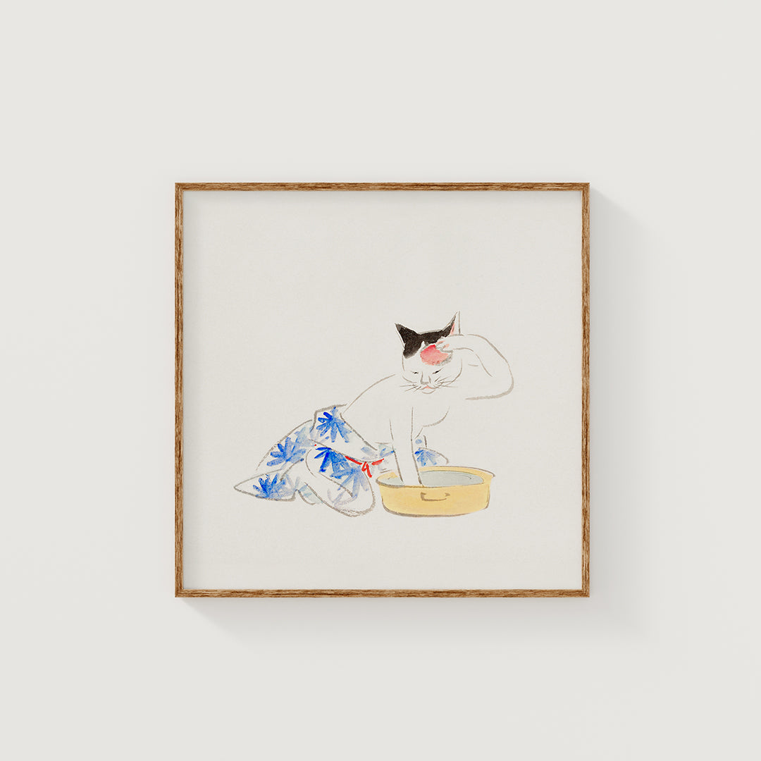 The feline ritual of cleanliness