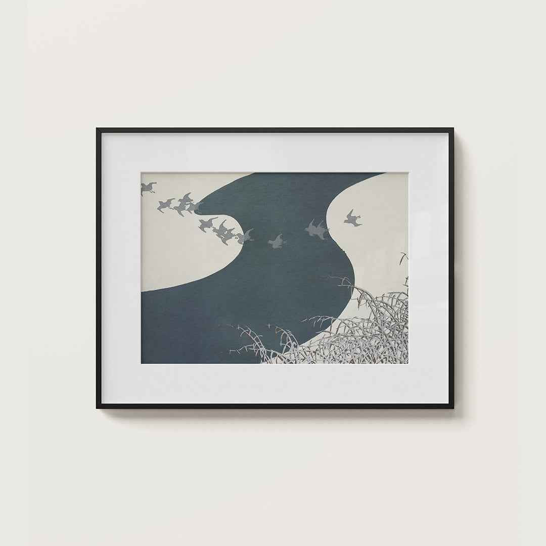 Birds from Momoyogusa - Misthios Studio