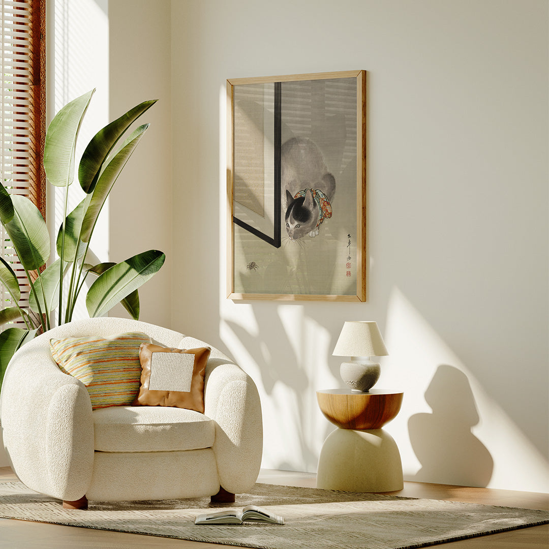 Cat watching a spider