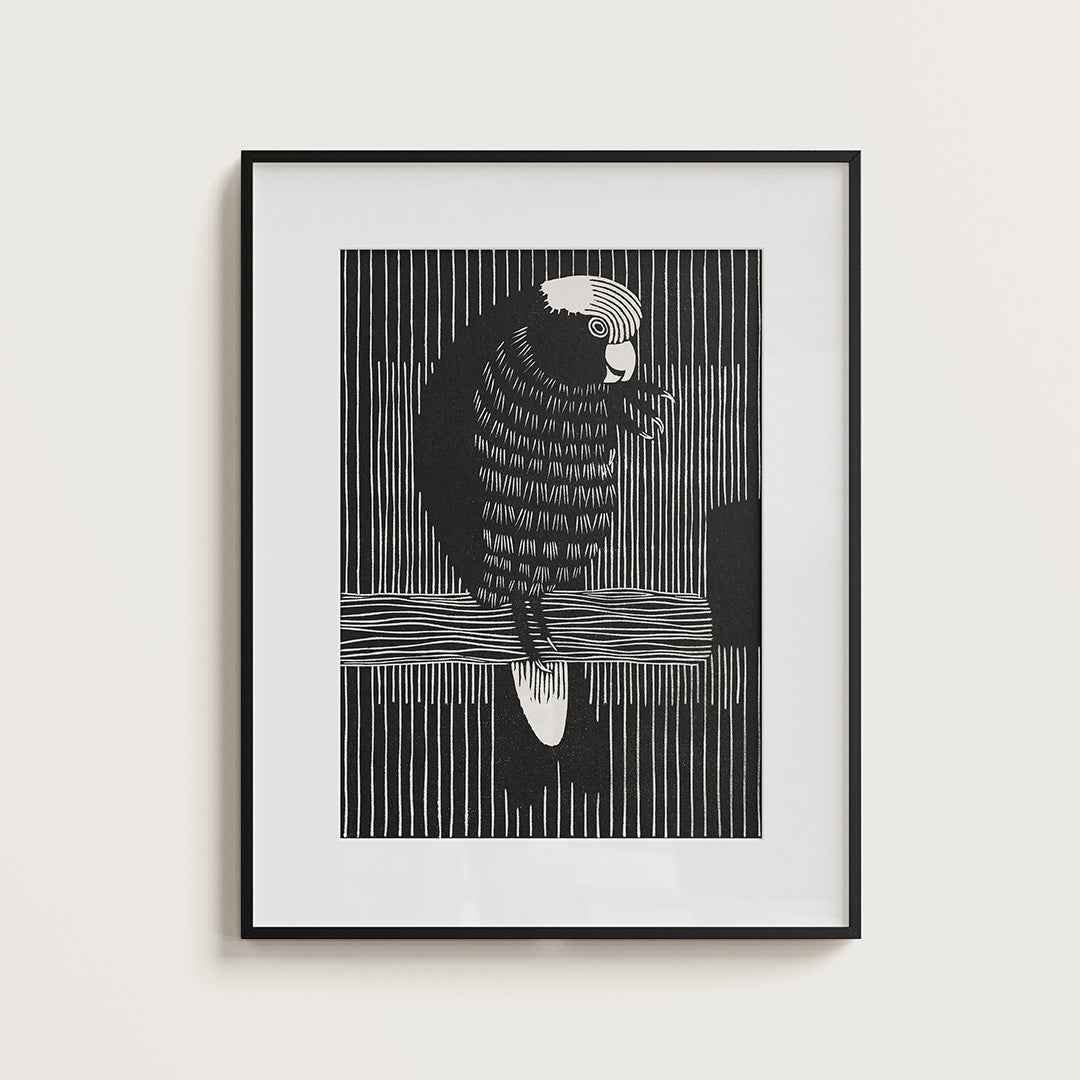 Galah cockatoos - Misthios Studio