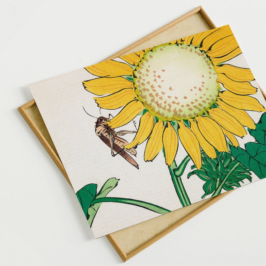 Grasshopper and Sunflower by Shibata Zeshin – Fine Art Print