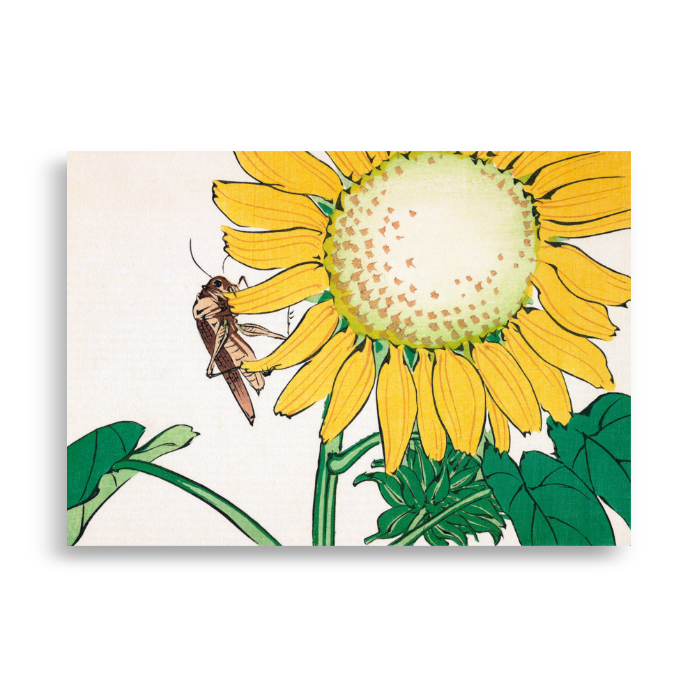 Grasshopper and Sunflower by Shibata Zeshin – Fine Art Print