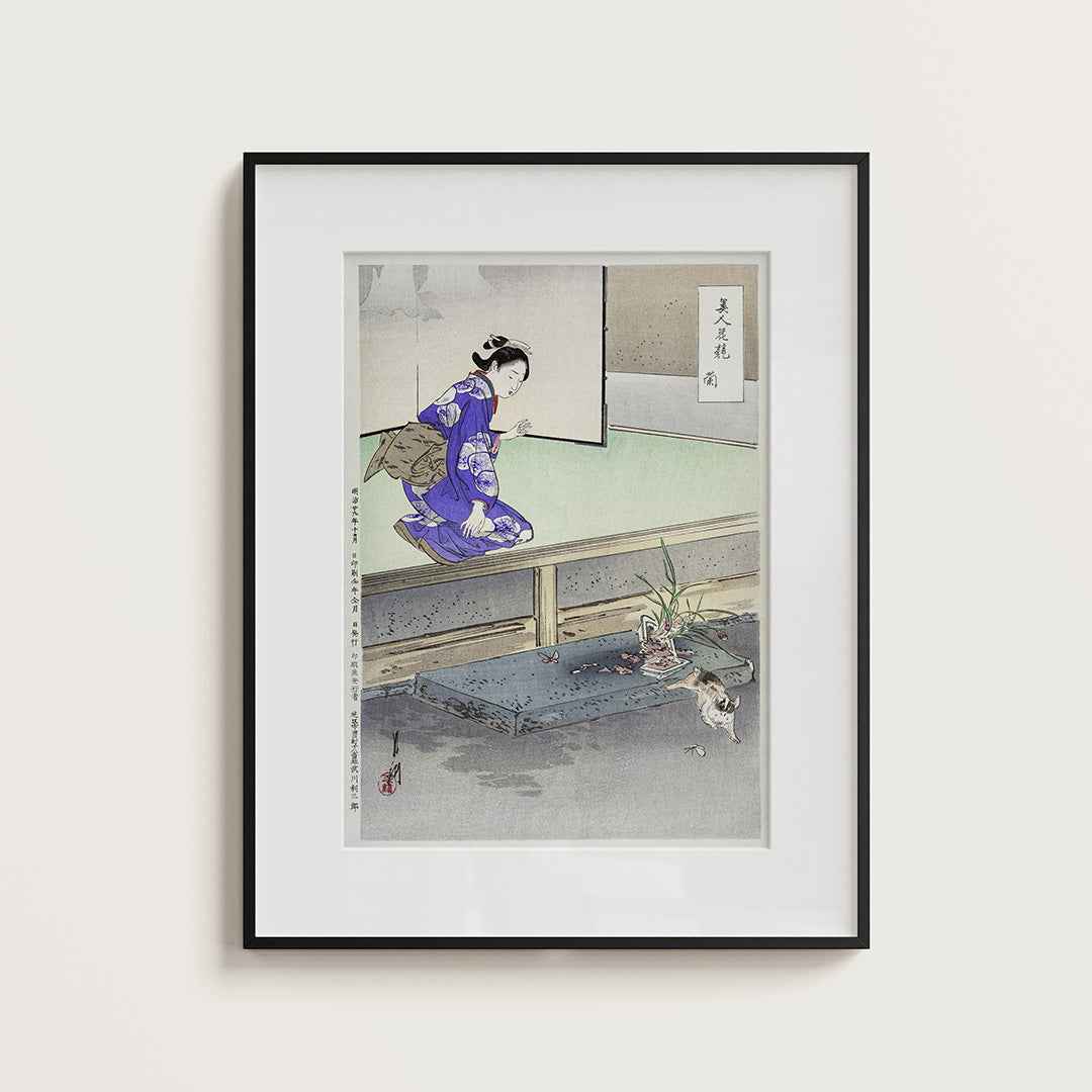 Orchid - Misthios Studio