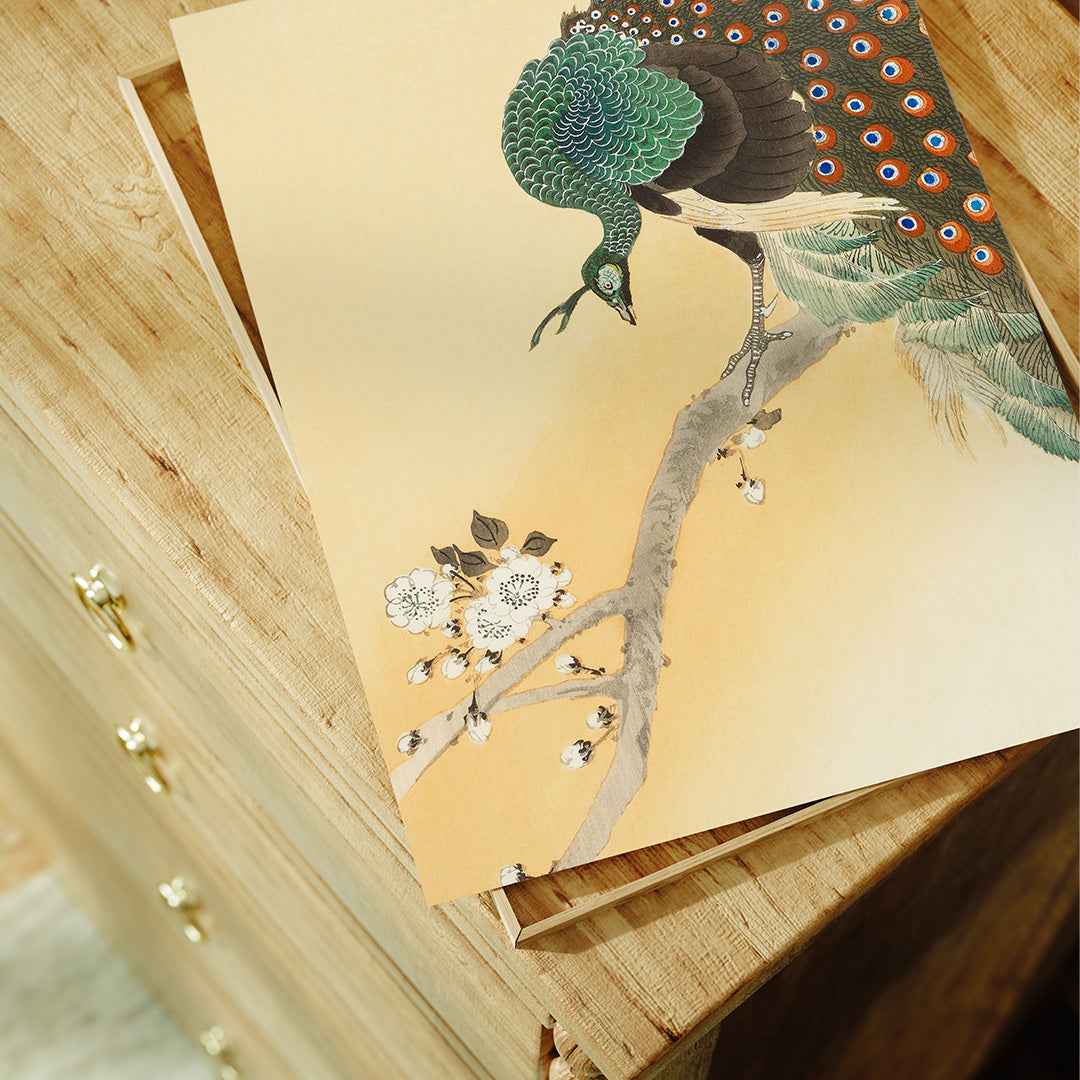 Peacock on a cherry blossom tree - Misthios Studio