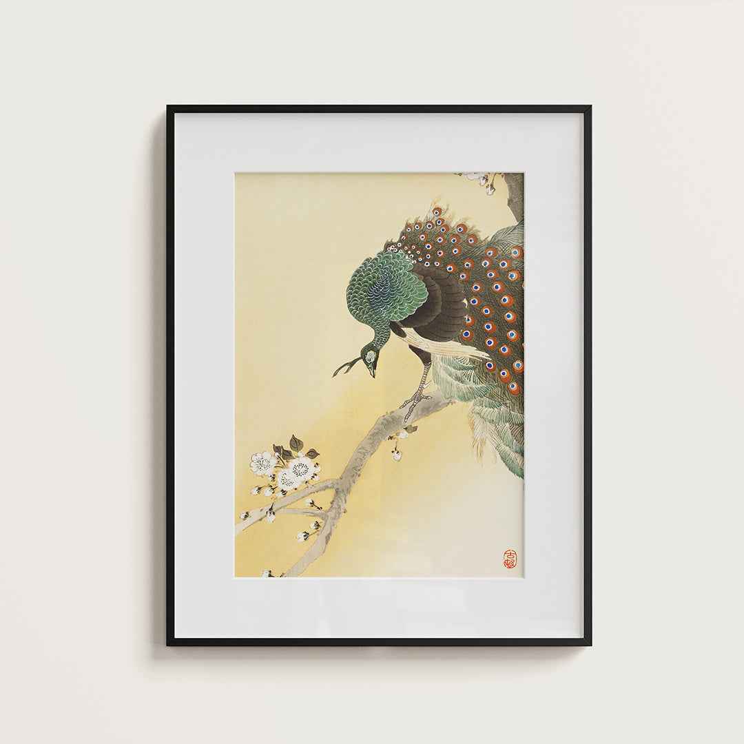 Peacock on a cherry blossom tree - Misthios Studio
