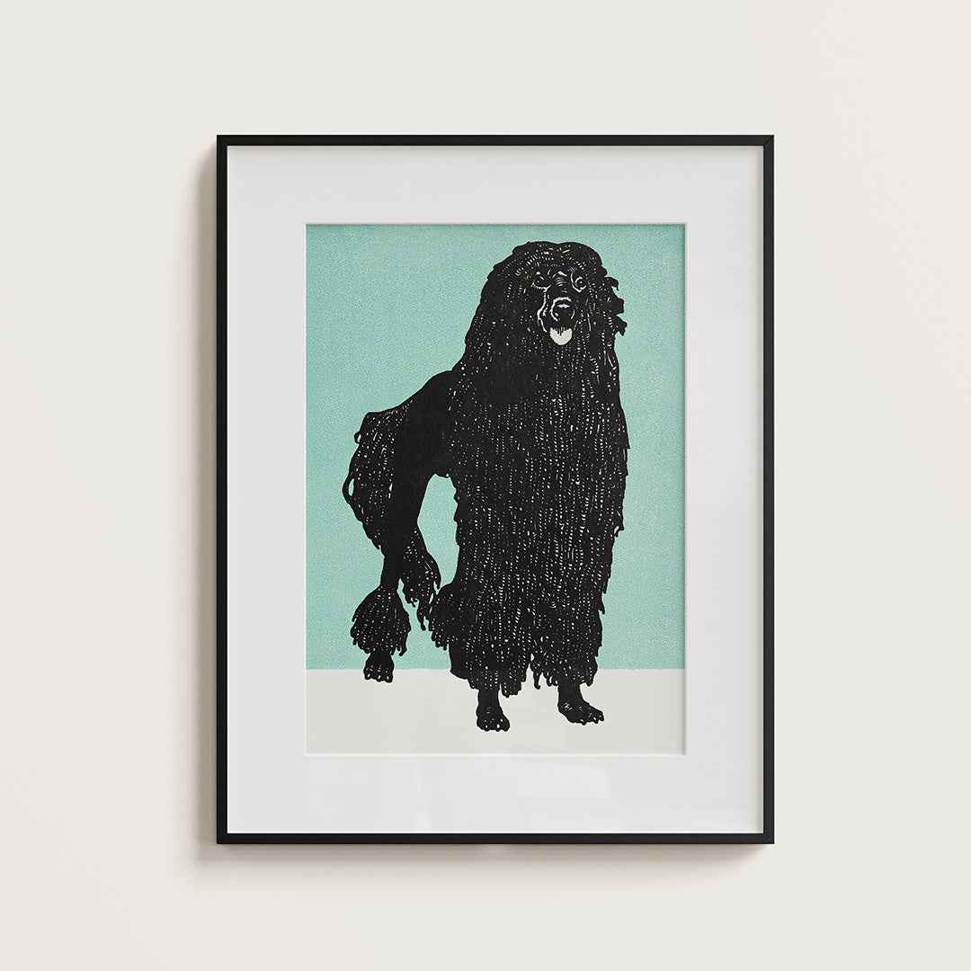 Poodle - Misthios Studio