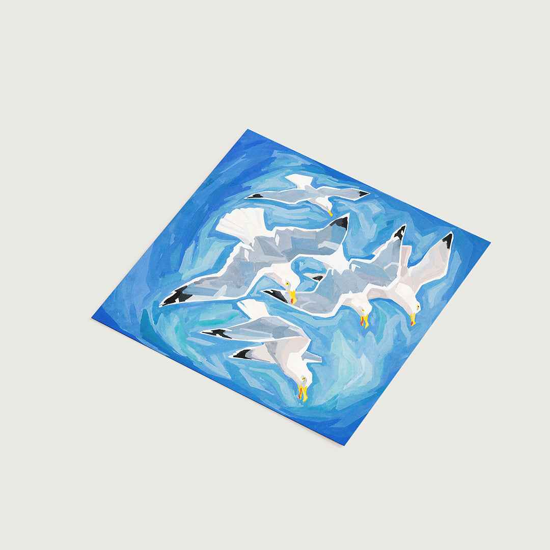 Five flying seagulls - Misthios Studio