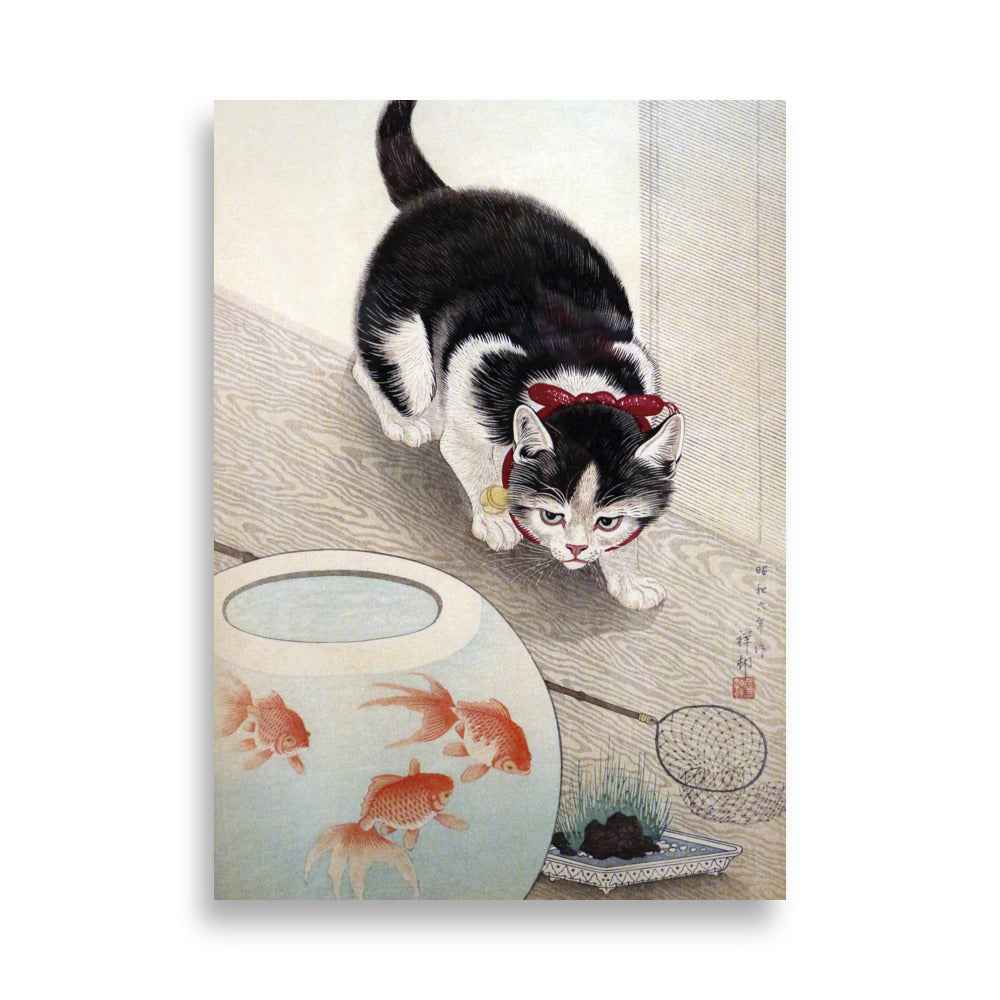 Cat and goldfish bowl - Misthios Studio