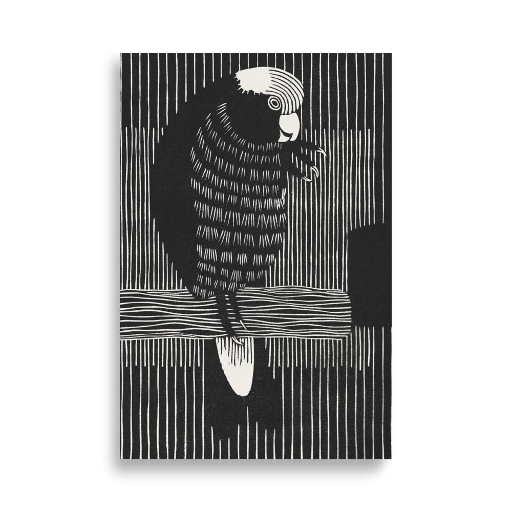 Galah cockatoos - Misthios Studio