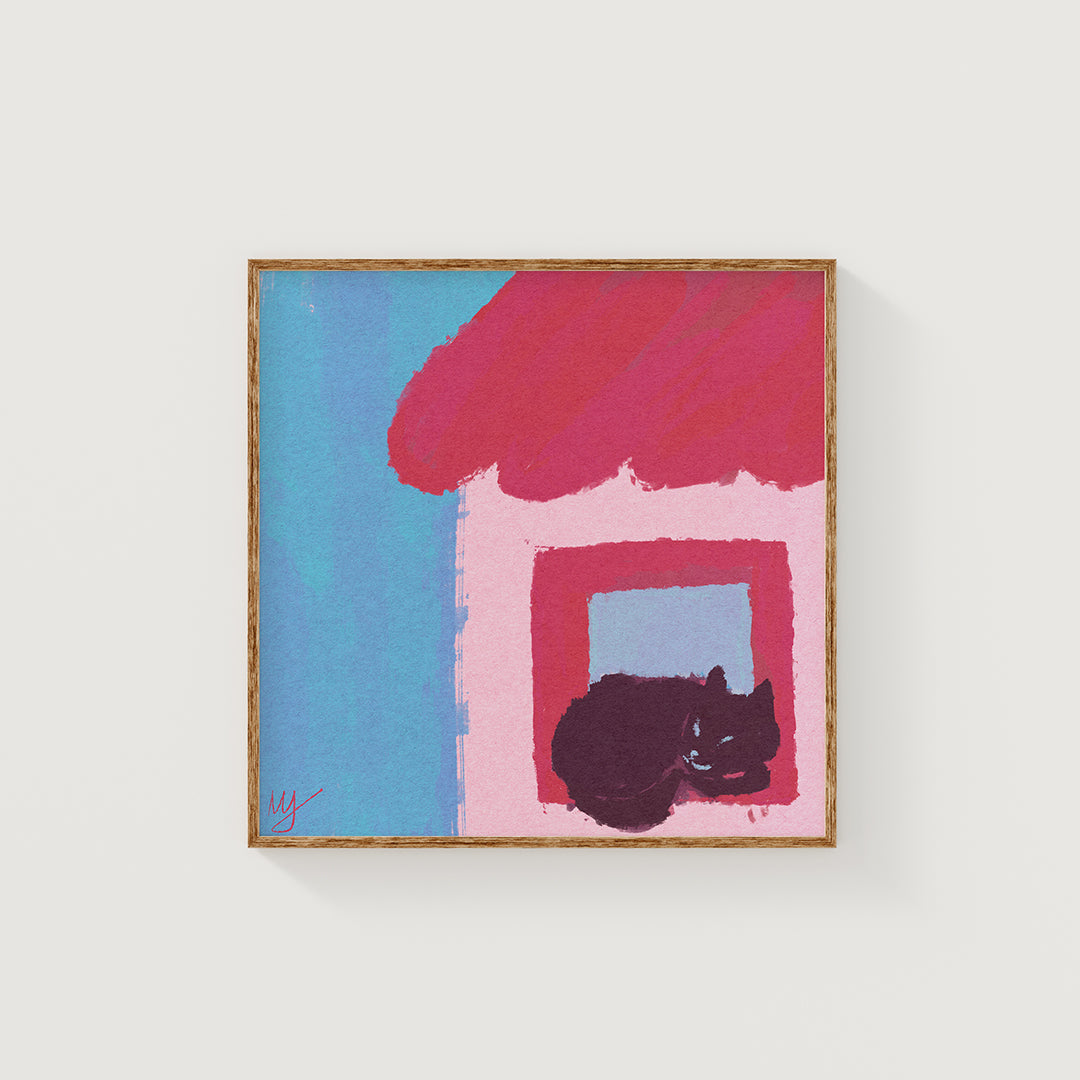 Stray cat by the window