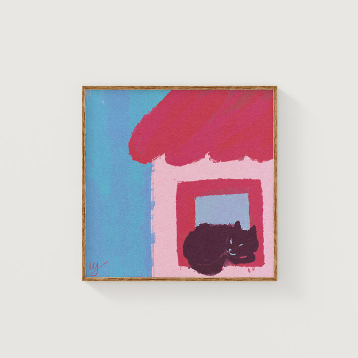 Stray cat by the window
