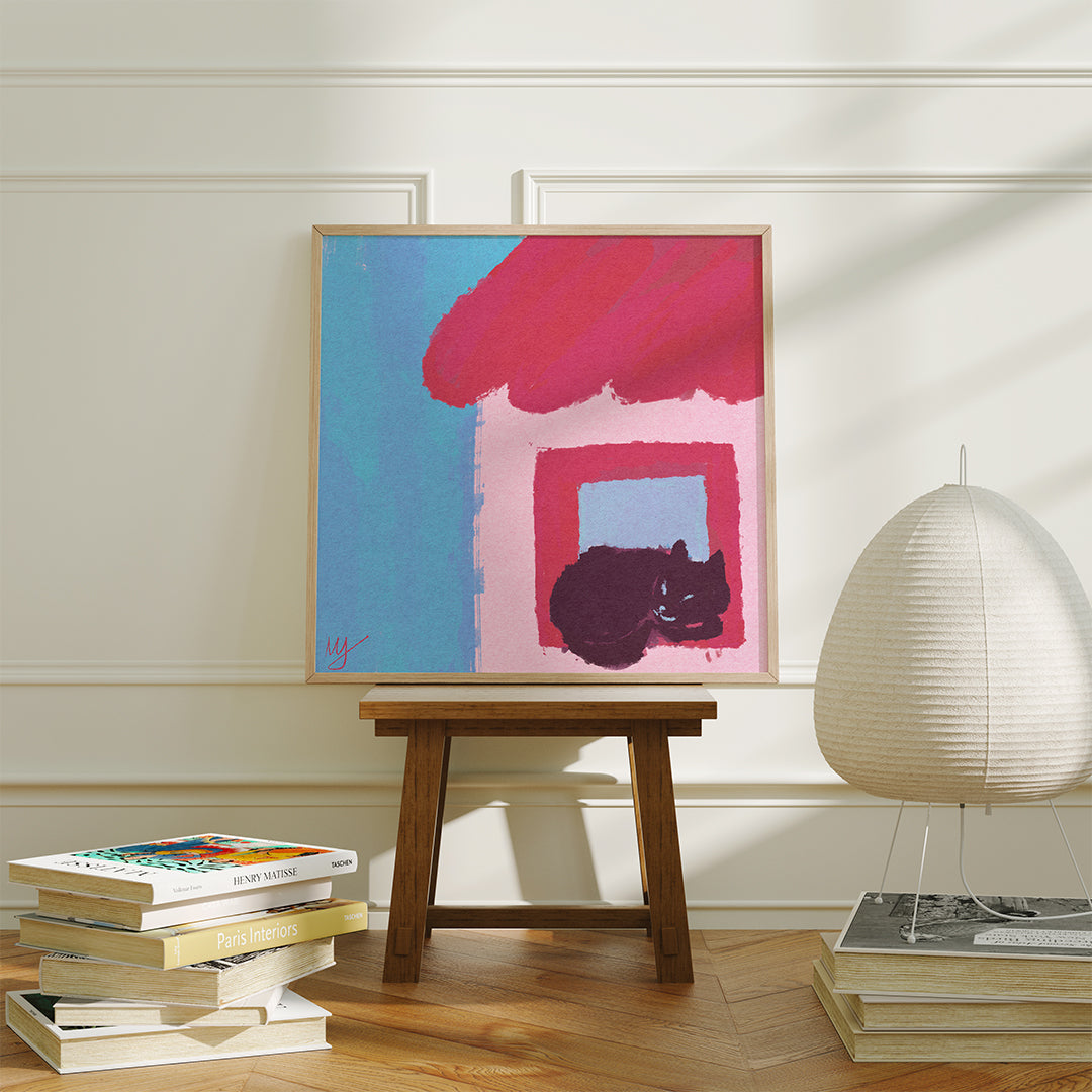 Stray cat by the window