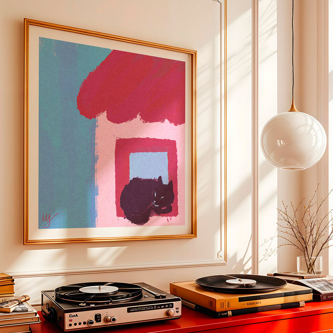 Stray cat by the window